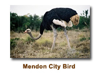 Mendon City Bird