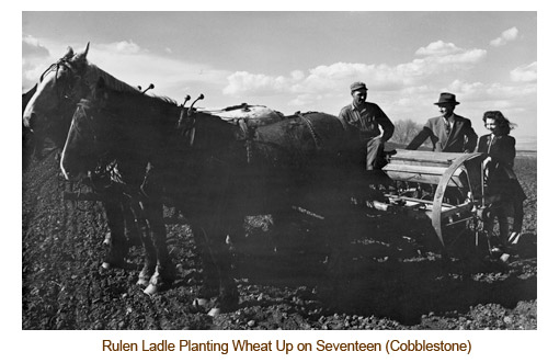Rulen Ladle Drilling Wheat up on Seventeen