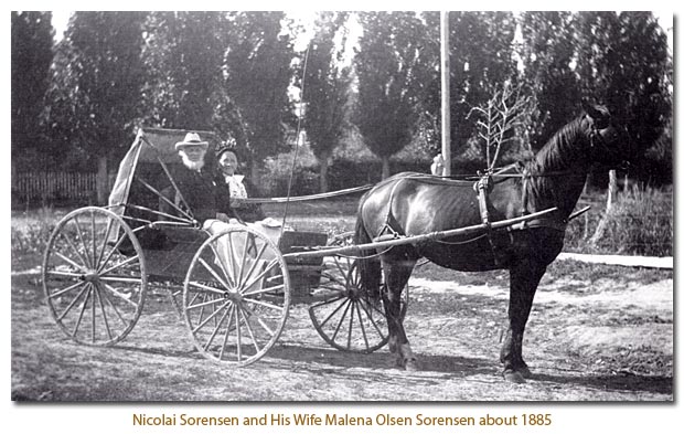 Nicolai Sorensen and Melena in their buggy