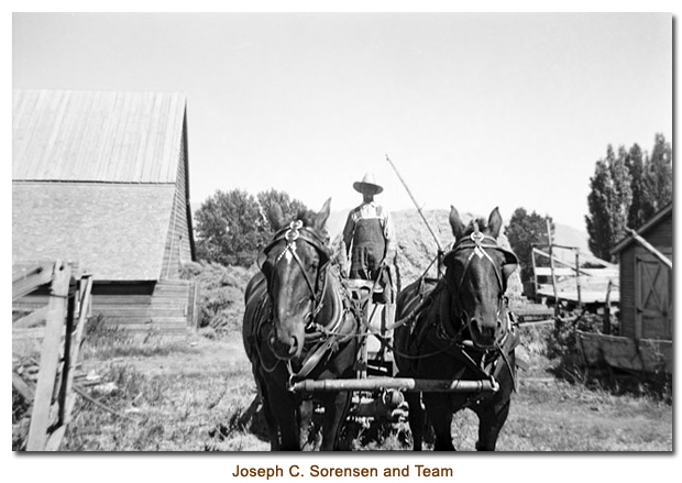 The Basset Family at Bannock in 1907